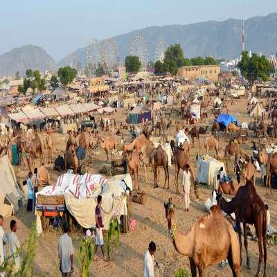 Pushkar Fair Places to See